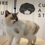 先日、事務所に、思いがけない訪問者が。。。